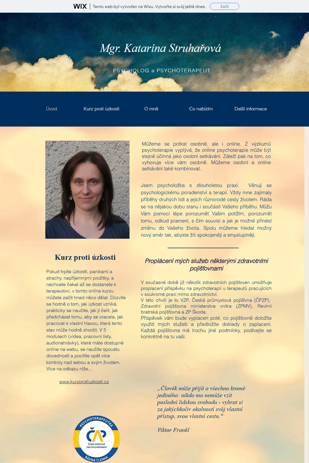 Original site on a Wix template: a Wix ad bar at the top and a template intro with a cloudy background.